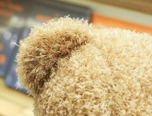 Teddy Bear Soft Fur Teddy Bear with Hood Paw Print