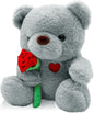 Plush Bear Teddy Cuddly Toy